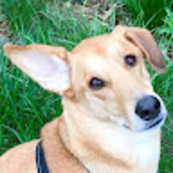 Meet your Posher, Liisa - Picture 1 of 1